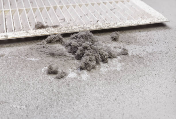 Best Professional Duct Cleaning Services  in Northern Cambria, PA