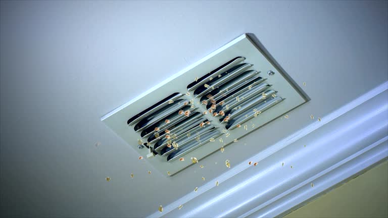 Best Ductwork Cleaning Services  in Northern Cambria, PA